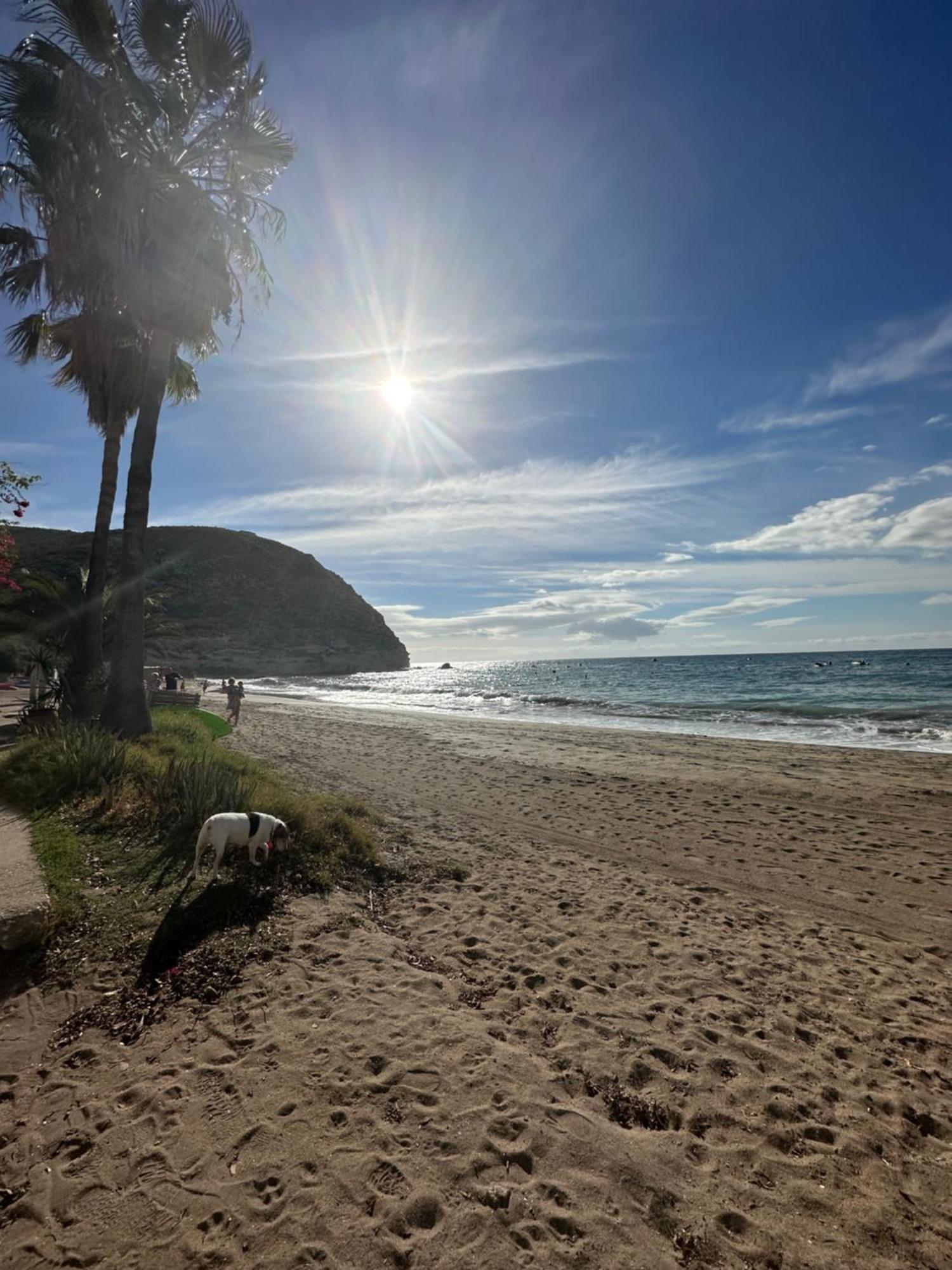 Apartmán Arto Blanco Agua Amarga  Exteriér fotografie