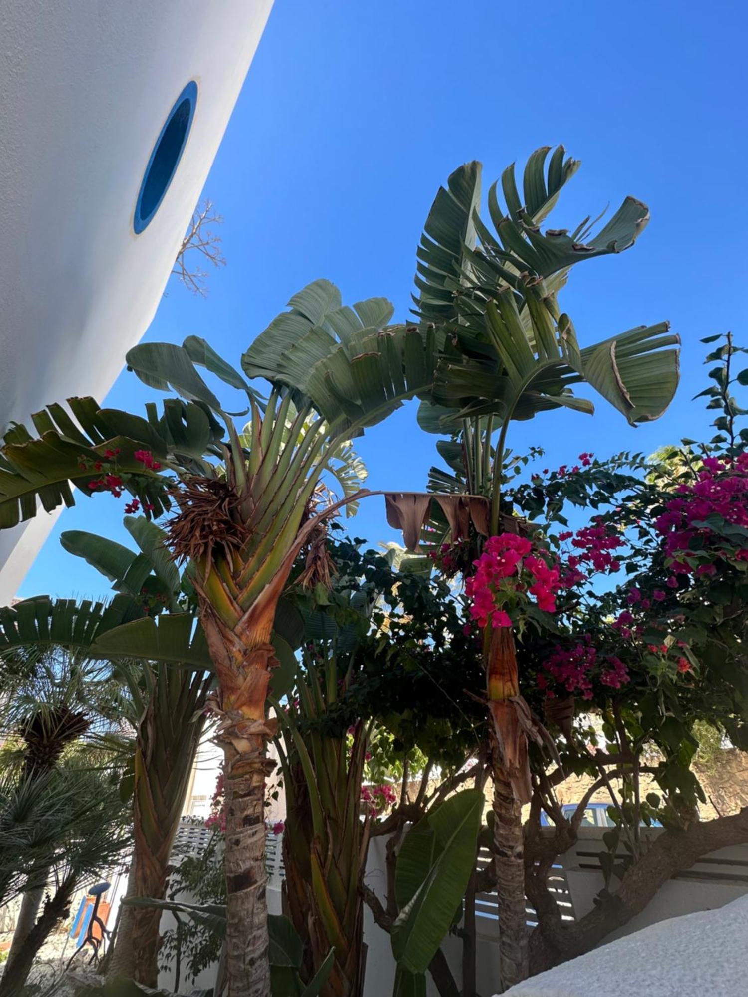 Apartmán Arto Blanco Agua Amarga  Exteriér fotografie